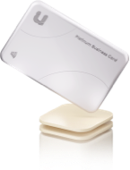 Visa Platinum biznes